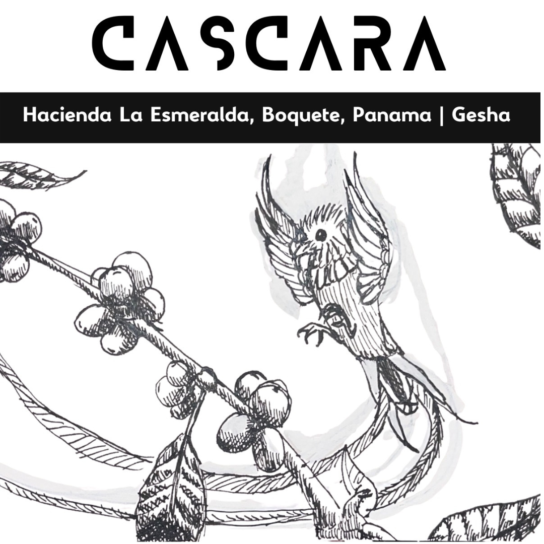 NoFi Hacienda Esmeralda Cascara